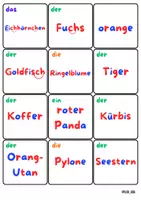 Vorschau - Spiele - 22 Bildkärtchen mit Montessori-Beschriftung in der Farbe Orange - Seite 3