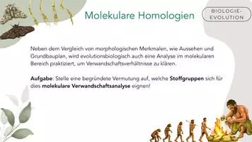 Vorschau - Arbeitsblätter - Molekulare Homologien als Evolutionsbeleg - Seite 1