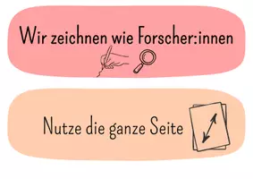 Vorschau - Poster - Sachzeichnung Kriterien - Sachunterricht Klasse 1/2 - Seite 1