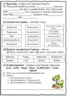 Vorschau - Stationenlernen - Laufrallye Ökosystem Wald_Laufzettel - Seite 2