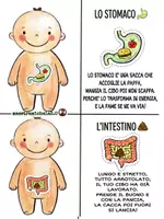 anteprima - Altro tipo di materiale - il corpo in filastrocca - Pagina 3
