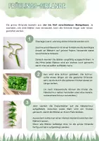Vorschau - Mal- und Bastelvorlagen - Frühlingsdeko basteln: Papierblumen & Girlande – Bastelvorlagen und Anleitung - Seite 1
