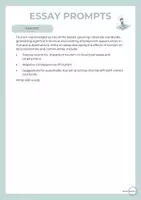 Vista previa - Hojas de trabajo - Essay Prompts - página 3
