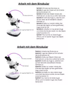 Vorschau - Arbeitsblätter - Arbeit mit dem Binokular - Seite 1