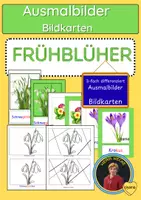 Vorschau - Arbeitsblätter - Frühblüher Ausmalbilder Klasse 1-2, Frühling - Deckblatt