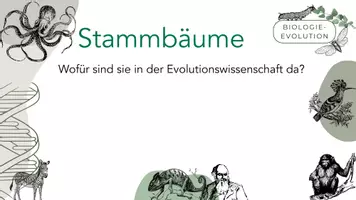 Vorschau - Arbeitsblätter - Kladogramme - phylogenetische Stammbäume - Seite 1