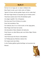 Vorschau - Arbeitsblätter - Die Eule - Differenzierte Sach- und Lesetexte - Seite 3