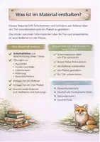 Vorschau - Arbeitsblätter - Tierreferat - Arbeitsheft und Plakatprojekt - Seite 2