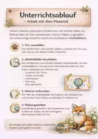 Vorschau - Arbeitsblätter - Tierreferat - Arbeitsheft und Plakatprojekt - Seite 3