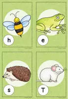 Vorschau - Arbeitsblätter - Differenzierter Lesespaziergang: Tiere (bewegtes Lernen) - Seite 3