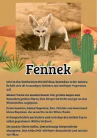 Vorschau - Merkblätter - 17 Lernkarten mit Fakten - Tiere der Wüste - Seite 3