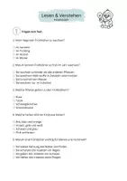 Vorschau - Arbeitsblätter - Lesen und Verstehen Klasse 4/5 - Materialpaket - Seite 3