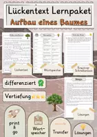 Vorschau - Arbeitsblätter - Aufbau eines Baumes Lückentext Vertiefung mit Wortspeicher und Transferaufgabe + Lösungen - Deckblatt