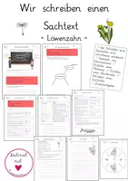 Vorschau - Stundenentwürfe - Sachtext schreiben nach Anleitung (kleinschrittig) - Löwenzahn - Deckblatt