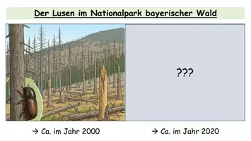 Vorschau - Stundenentwürfe - Ökologie Unterrichtsmaterial – großes Komplettpaket mit Arbeitsblättern, Stationenlernen & Lösungen | Sek I & II - Seite 2
