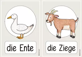 Vorschau - Fördermaterial/Inklusion - Tiere Bild- und Wortkarten DaZ Materialpaket - Seite 2