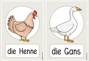 Vorschau - Fördermaterial/Inklusion - Tiere Bild- und Wortkarten DaZ Materialpaket - Seite 3