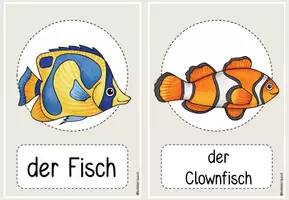 Vorschau - Präsentationen/Tafelbilder - Meerestiere Bild- und Wortkarten DaZ Anfangsunterricht - Seite 1