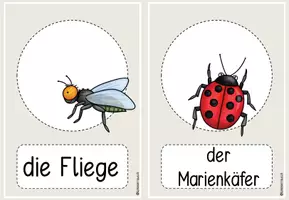 Vorschau - Präsentationen/Tafelbilder - Haustiere Bild- und Wortkarten DaZ Anfangsunterricht - Seite 2