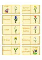 Vorschau - Stationenlernen - Frühblüher - Domino, 2-fach differenziert - Seite 3
