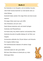 Vorschau - Arbeitsblätter - Das Kaninchen - Differenzierte Sach- und Lesetexte - Seite 2