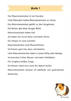 Vorschau - Arbeitsblätter - Das Meerschweinchen - Differenzierte Sach- und Lesetexte - Seite 1