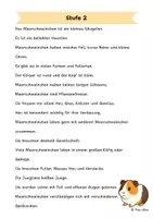 Vorschau - Arbeitsblätter - Das Meerschweinchen - Differenzierte Sach- und Lesetexte - Seite 2