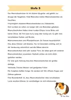 Vorschau - Arbeitsblätter - Das Meerschweinchen - Differenzierte Sach- und Lesetexte - Seite 3