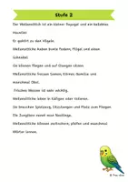 Vorschau - Arbeitsblätter - Der Wellensittich - Differenzierte Sach- und Lesetexte - Seite 2