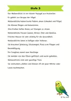 Vorschau - Arbeitsblätter - Der Wellensittich - Differenzierte Sach- und Lesetexte - Seite 3