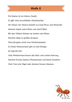Vorschau - Arbeitsblätter - Die Ameise - Differenzierte Sach- und Lesetexte - Seite 2