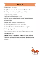 Vorschau - Arbeitsblätter - Die Ameise - Differenzierte Sach- und Lesetexte - Seite 3