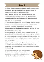 Vorschau - Arbeitsblätter - Der Igel: Differenzierte Sach- und Lesetexte - Seite 3