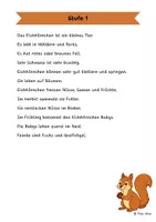Vorschau - Arbeitsblätter - Das Eichhörnchen - Differenzierte Sach- und Lesetexte - Seite 1