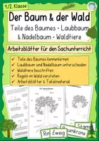 Vorschau - Arbeitsblätter - Der Baum – Teile des Baumes, Laub‑ und Nadelbaum, Waldtiere (Sachunterricht 1./2. Klasse) - Deckblatt