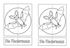 Vorschau - Arbeitsblätter - Fledermaus - Lapbook (für Klasse 1-2) - Seite 3