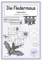 Vorschau - Arbeitsblätter - Materialpaket: Fledermaus (Klasse 1/2) Lapbook + Tafelmaterial - Seite 1