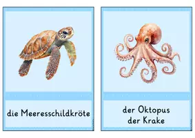 Vorschau - Bildkarten - Bildkarten: Meerestiere - Seite 1