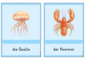Vorschau - Bildkarten - Bildkarten: Meerestiere - Seite 2