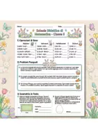 anteprima - Esercizi - Matematica Cl. 5 – Schede Didattiche di Primavera | Operazioni, Problemi, Frazioni, Geometria - Pagina di copertina