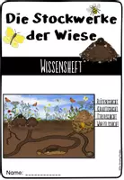 Vorschau - Arbeitsblätter - Stockwerke der Wiese - Wissensheft/Forscherheft - Seite 1