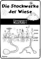 Vorschau - Arbeitsblätter - Stockwerke der Wiese - Wissensheft/Forscherheft - Seite 2