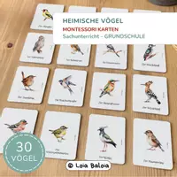 Vorschau - Spiele - Vögel–Nomenklaturkarten | 30 heimische Vogelarten - Deckblatt