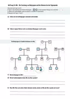 Vorschau - Arbeitsblätter - Genetik: Blutgruppen - Fallbeispiel: Vererbung + Hilfen - Seite 2