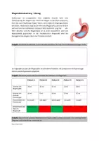 Vorschau - Arbeitsblätter - Magenübersäuerung - Seite 1