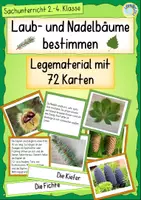 Vorschau - Merkblätter - Laub- und Nadelbäume bestimmen – Legematerial Sachunterricht Grundschule | Baumarten erkennen, Blätter & Früchte vergleichen - Deckblatt