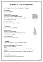 Vorschau - Arbeitsblätter - Laub- und Nadelbäume bestimmen – Sachunterricht Grundschule (Klasse 2–4) | Arbeitsblätter, Mini-Merkheft & Wissens-Check - Seite 1