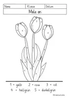 Vorschau - Arbeitsblätter - Tulpen Malen nach Zahlen - Deckblatt