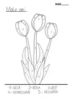 Vorschau - Arbeitsblätter - Tulpen Malen nach Zahlen - Seite 2