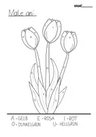 Vorschau - Arbeitsblätter - Tulpen Malen nach Zahlen - Seite 3